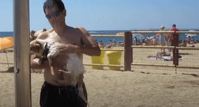 playas perro