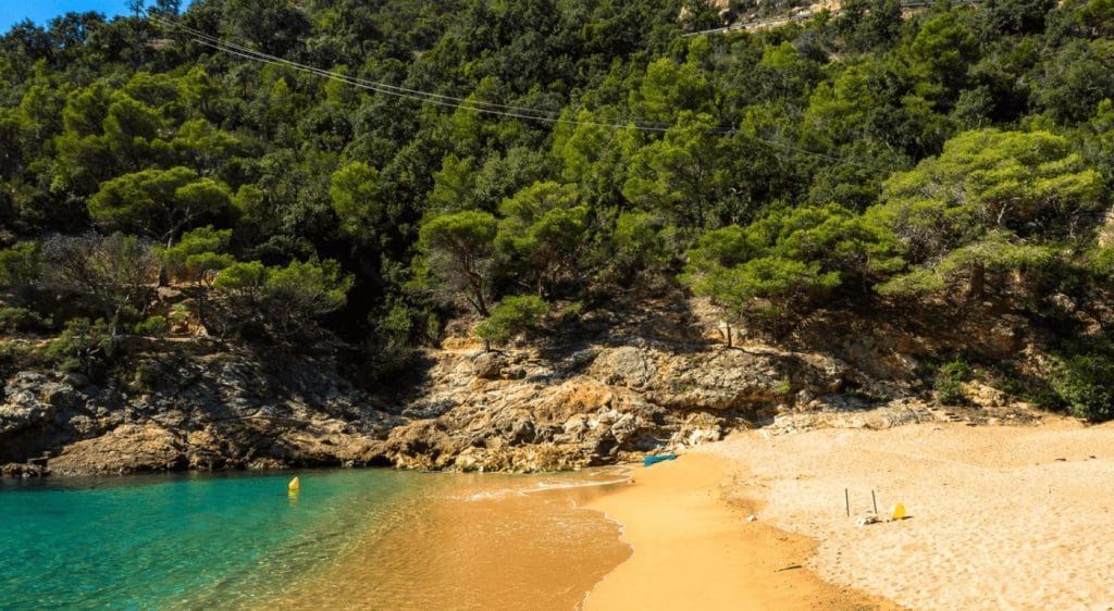 calapola